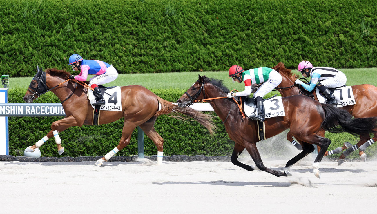 阪神4R、逃げ切って新馬戦を制したメイショウキルギス（左）（撮影・白石智彦）