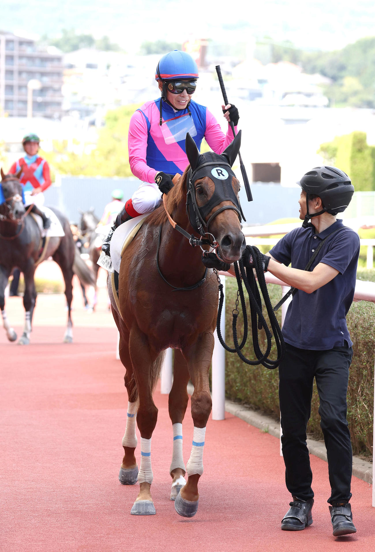 阪神4R、新馬戦を制したメイショウキルギス（撮影・白石智彦）