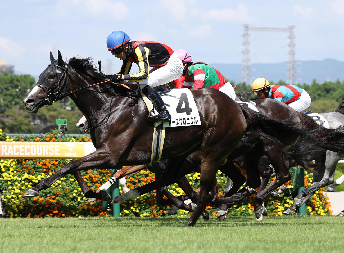 阪神7R・3歳上1勝クラスを制したアースクロニクル（撮影・白石智彦）