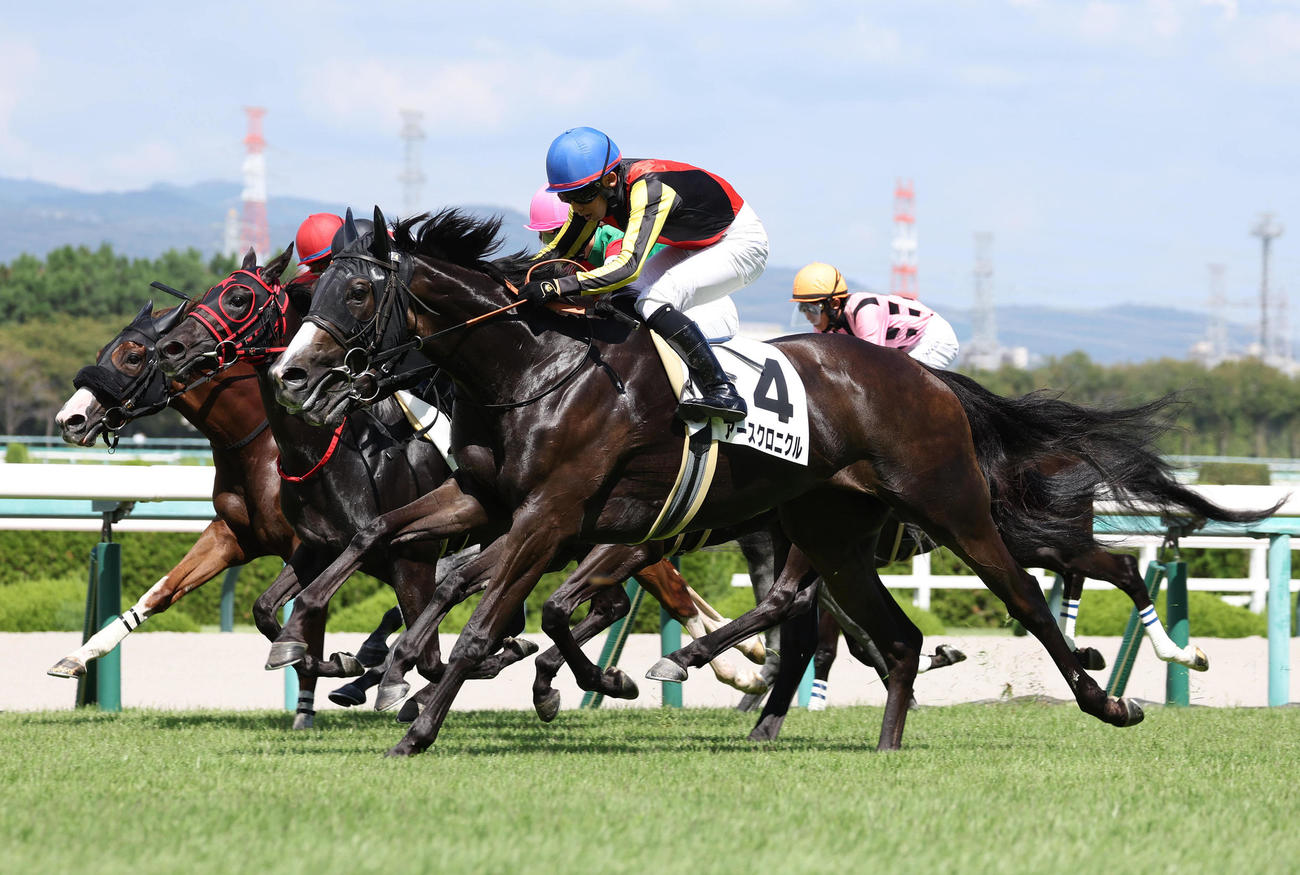 阪神7R・3歳上1勝クラスを制したアースクロニクル（撮影・白石智彦）