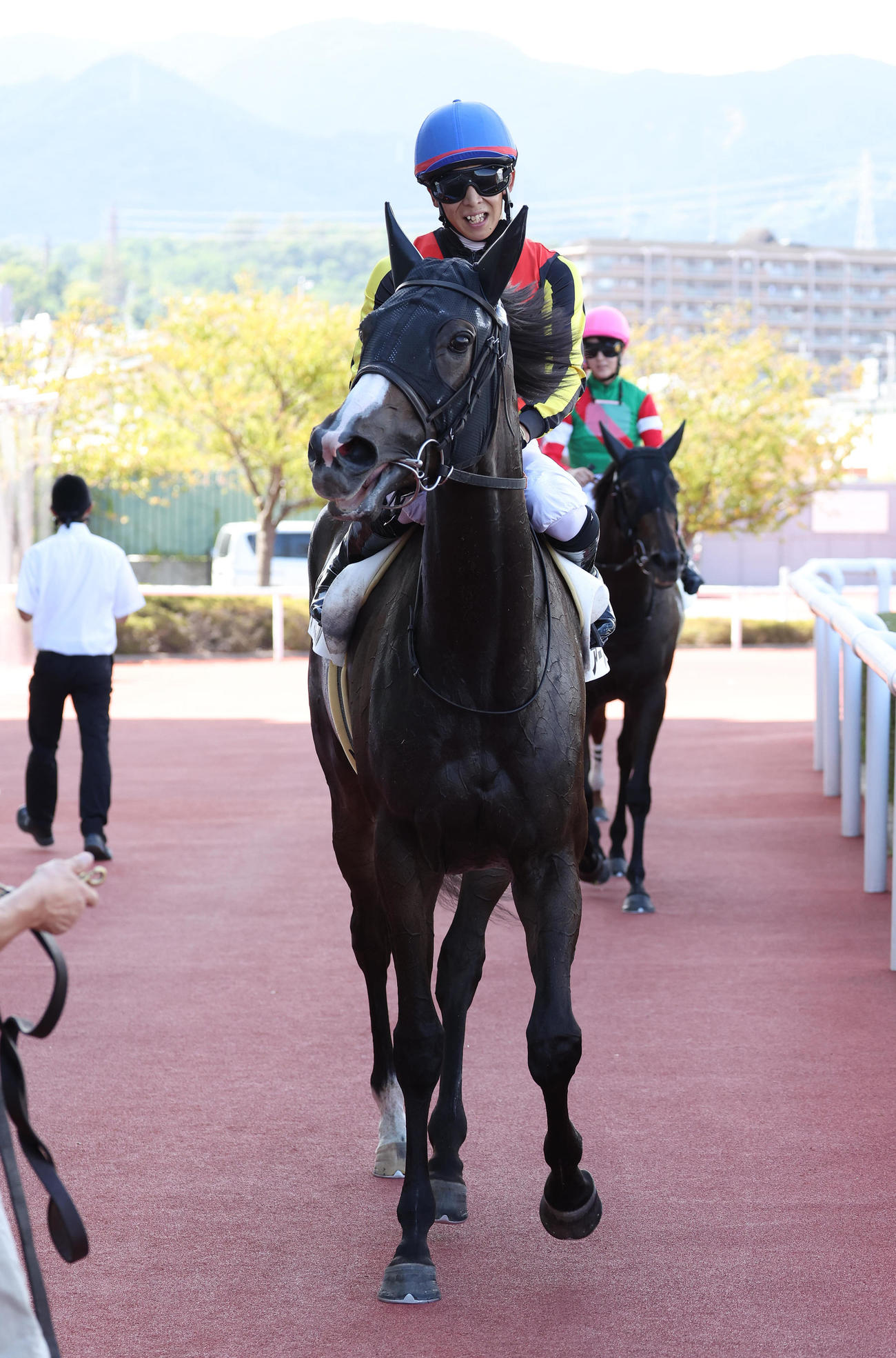 阪神7R・3歳上1勝クラスを制したアースクロニクル（撮影・白石智彦）