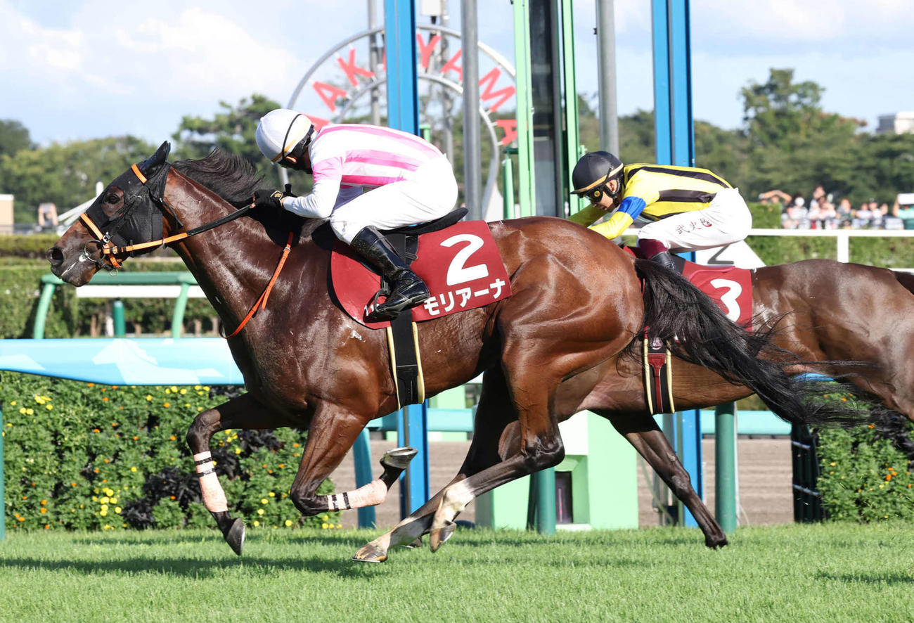 先に抜け出した武史騎手騎乗のヒップホップソウル（奥）をとらえて紫苑Sを制したモリアーナと横山典騎手