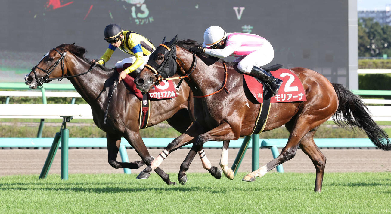 先に抜け出した武史騎手騎乗のヒップホップソウル（左）をとらえて紫苑Sを制したモリアーナと横山典騎手
