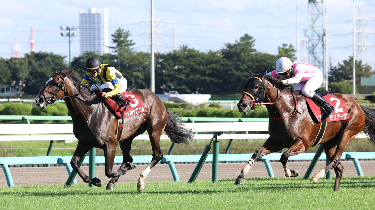 先に抜け出した武史騎手騎乗のヒップホップソウル（左）をとらえて紫苑Sを制したモリアーナと横山典騎手