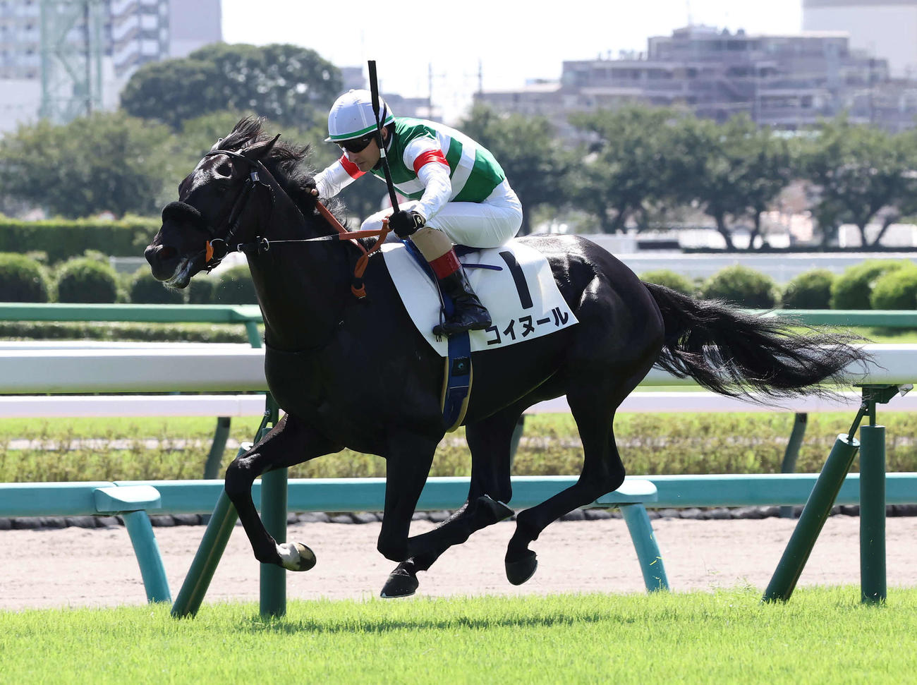 中山2R、2歳未勝利戦を制したコイヌールとルメール騎手（撮影・丹羽敏通）