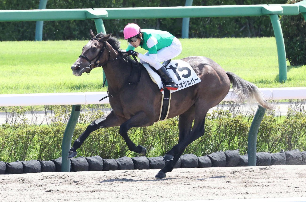 中山3R、2歳新馬戦を制したネオシルバーと田辺騎手（撮影・丹羽敏通）
