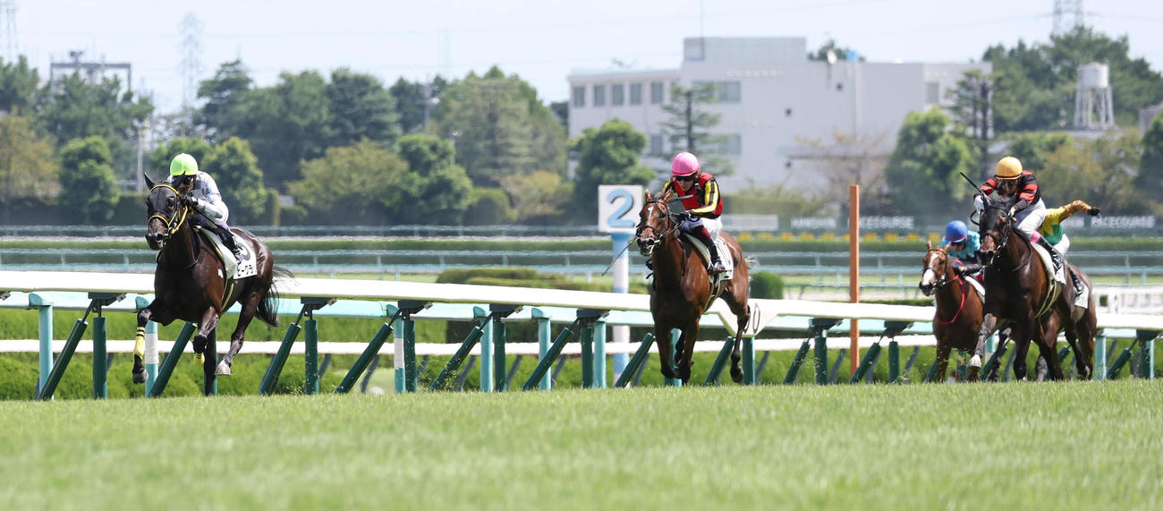 阪神4R、逃げ切って新馬戦を快勝したビーグラッド（左）（撮影・白石智彦）