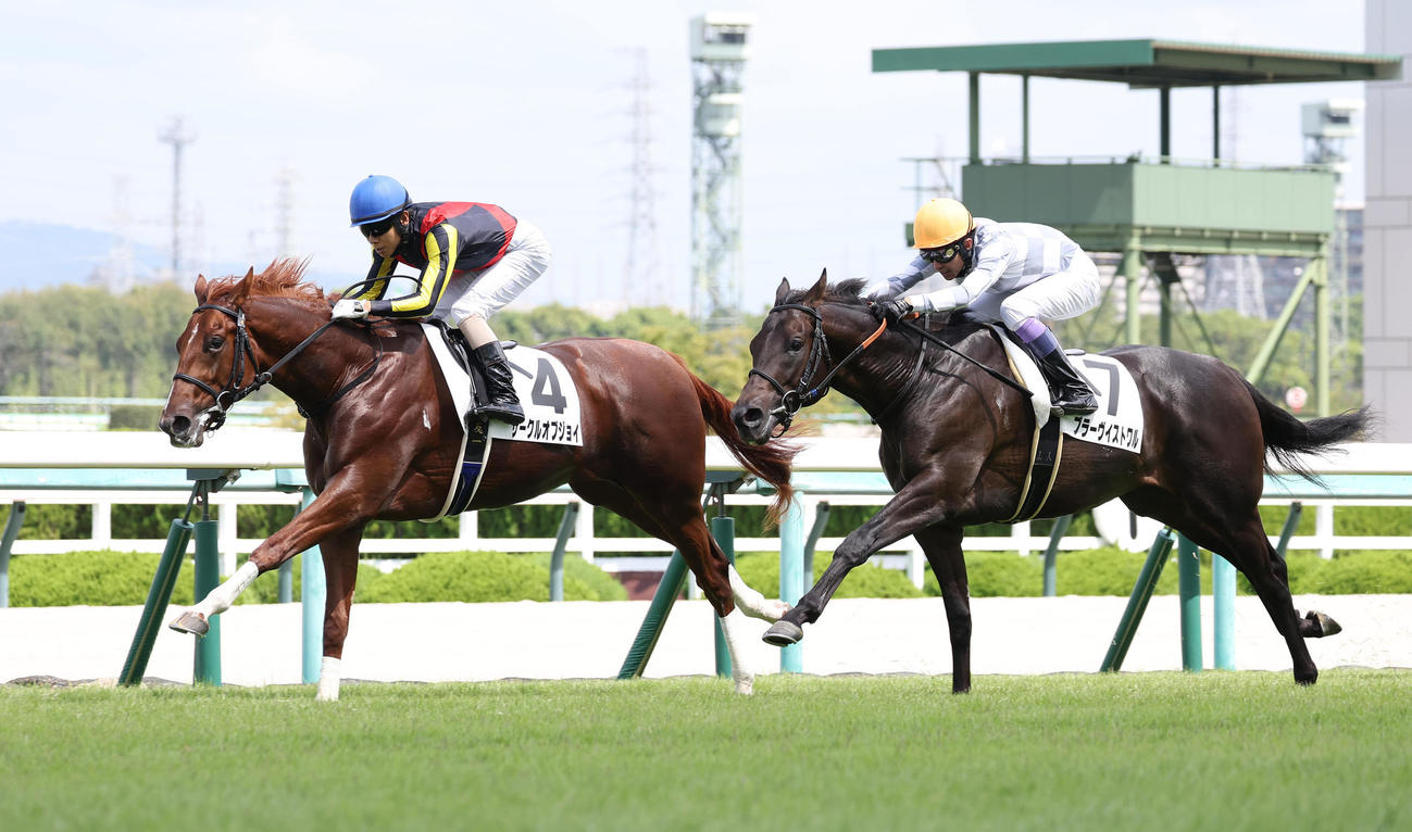 阪神5R新馬戦を制したサークルオブジョイ（左）（撮影・白石智彦）