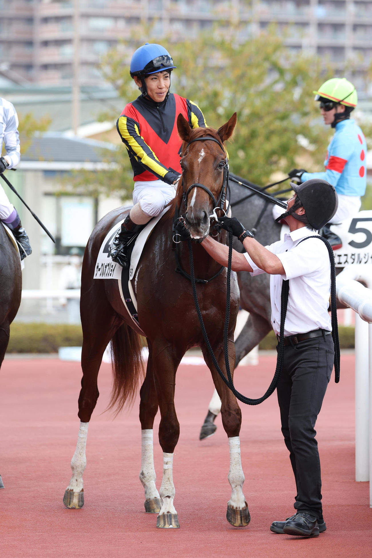阪神5R新馬戦を制したサークルオブジョイ（撮影・白石智彦）