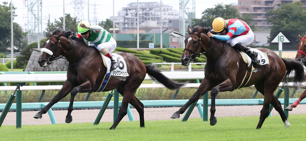 中山5R新馬戦を制したシックスペンス（左）と2着アタラヨ（撮影・丹羽敏通）