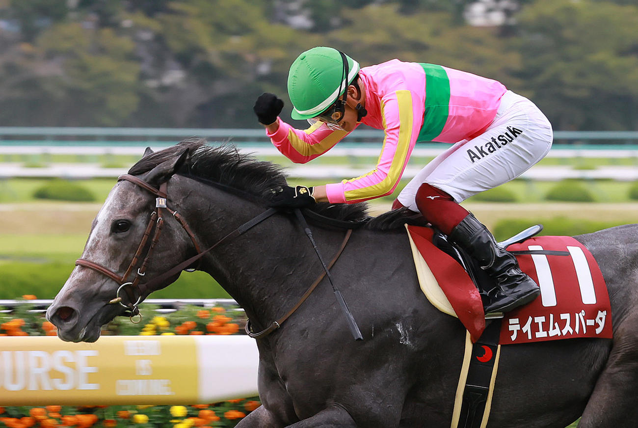 セントウルSをテイエムスパーダで制し、重賞初制覇の富田騎手はガッツポーズを見せる（撮影・白石智彦）