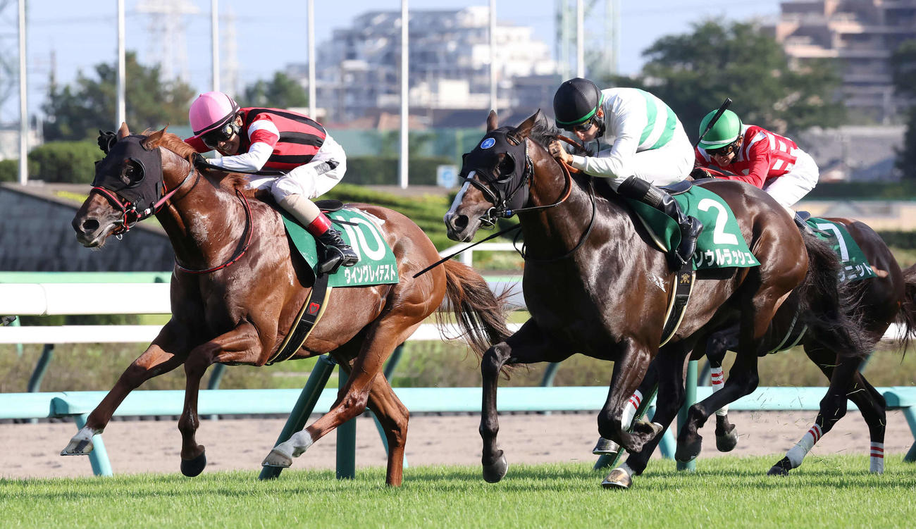 京成杯AHを制したソウルラッシュと松山騎手（右）。左は2着ウイングレイテスト（撮影・丹羽敏通）