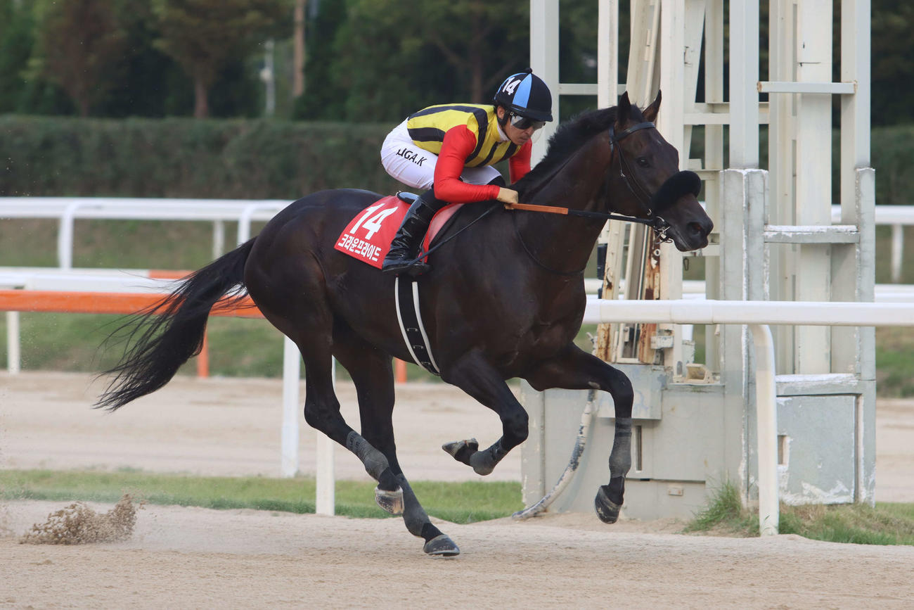 コリアCを制したクラウンプライドと川田将雅騎手