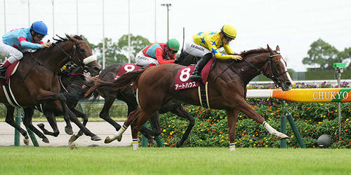 ローズSを制したアートハウス(撮影・森本幸一)=2022年9月18日、中京競馬場