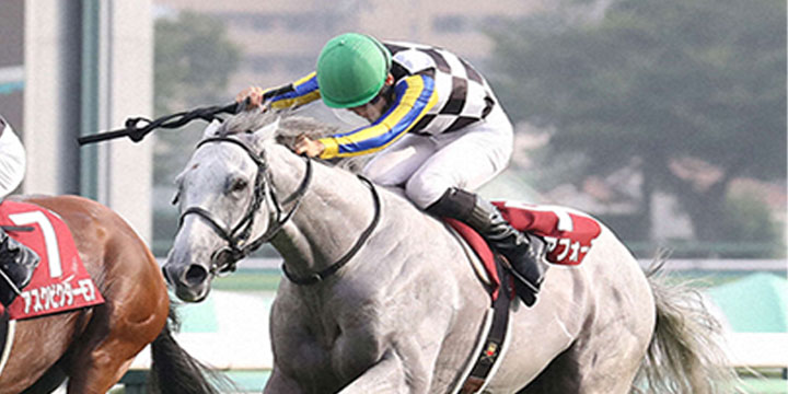 セントライト記念に勝利したガイアフォースと松山騎手（撮影・丹羽敏通）＝2022年9月19日、中山競馬場