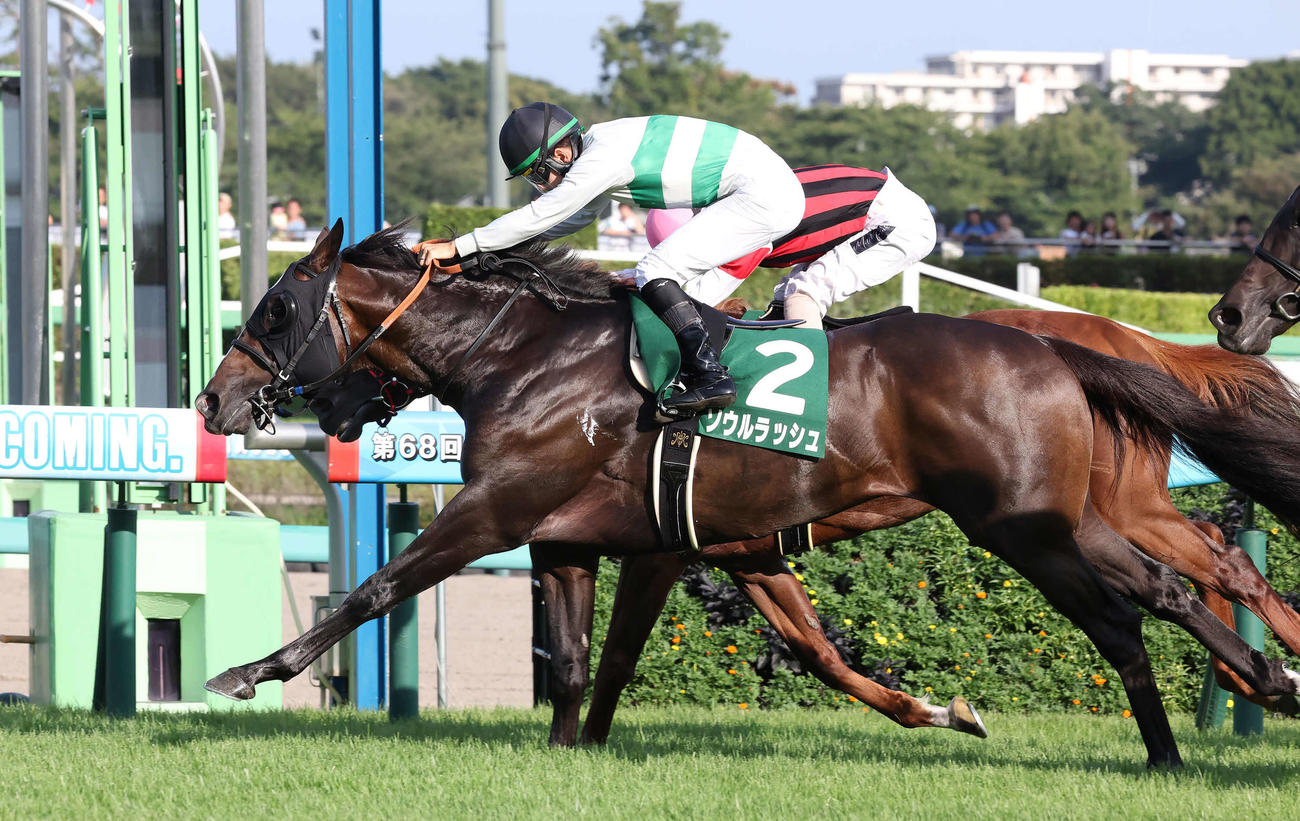 京成杯AHを制したソウルラッシュと松山騎手（撮影・丹羽敏通）