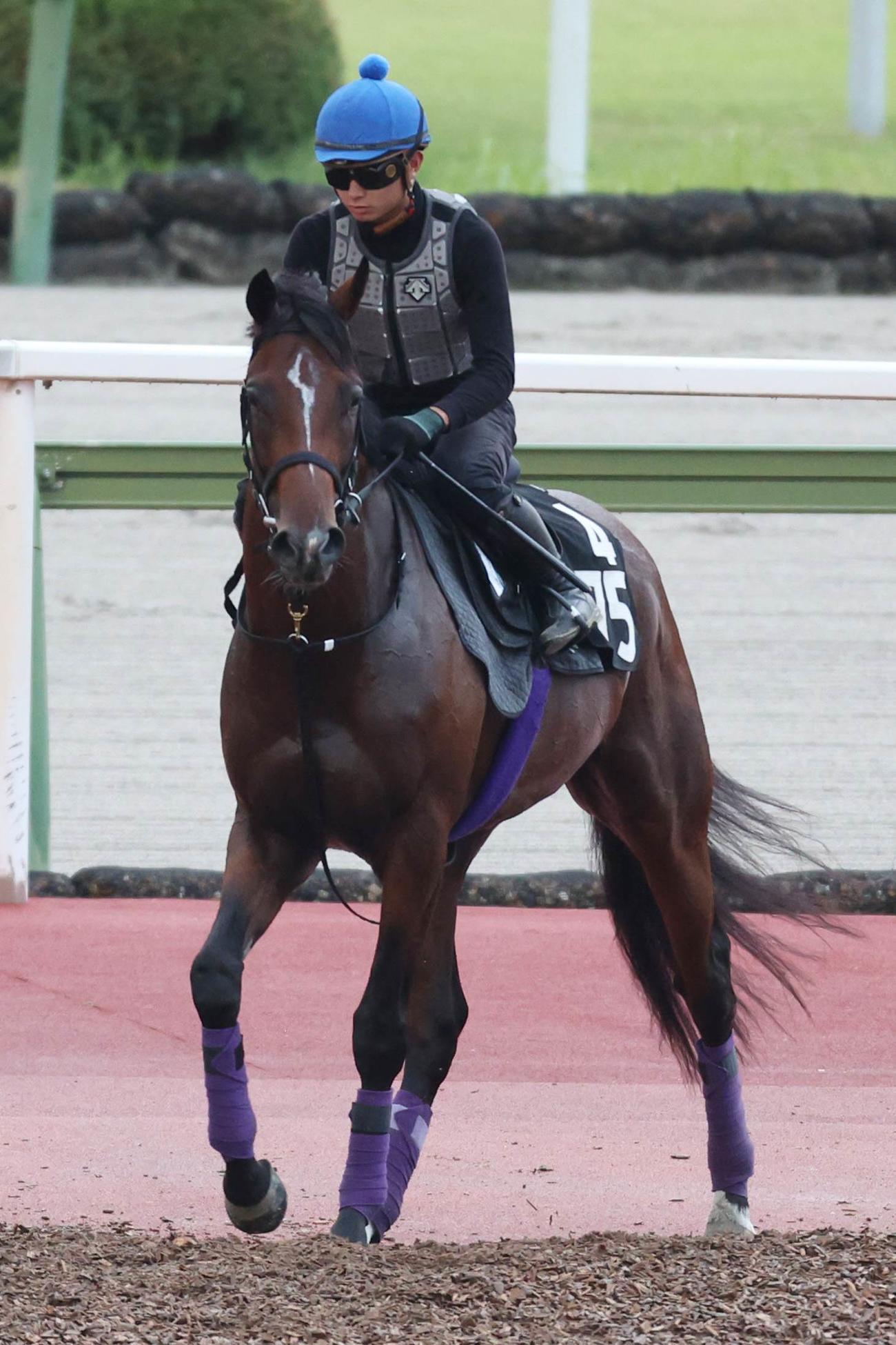 6日、岩田望騎手を背に馬場入りするシャザーン