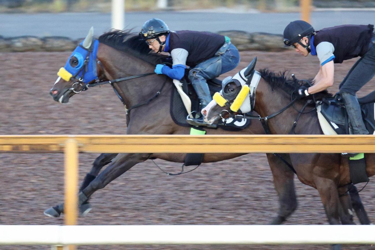 7日、併せ馬で時計を出したコンクシェル（左）