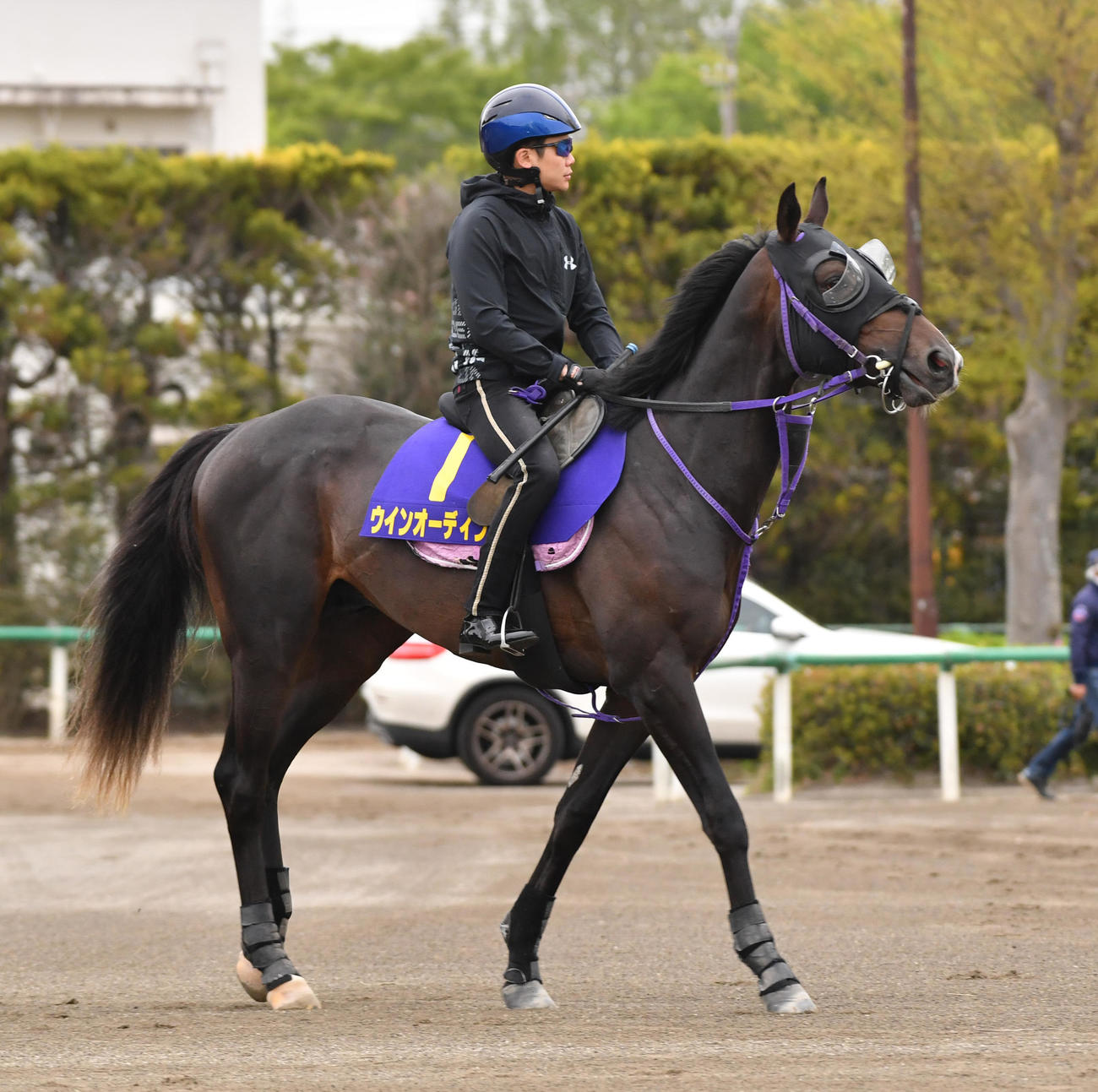 ウインオーディン（2023年4月12日撮影）