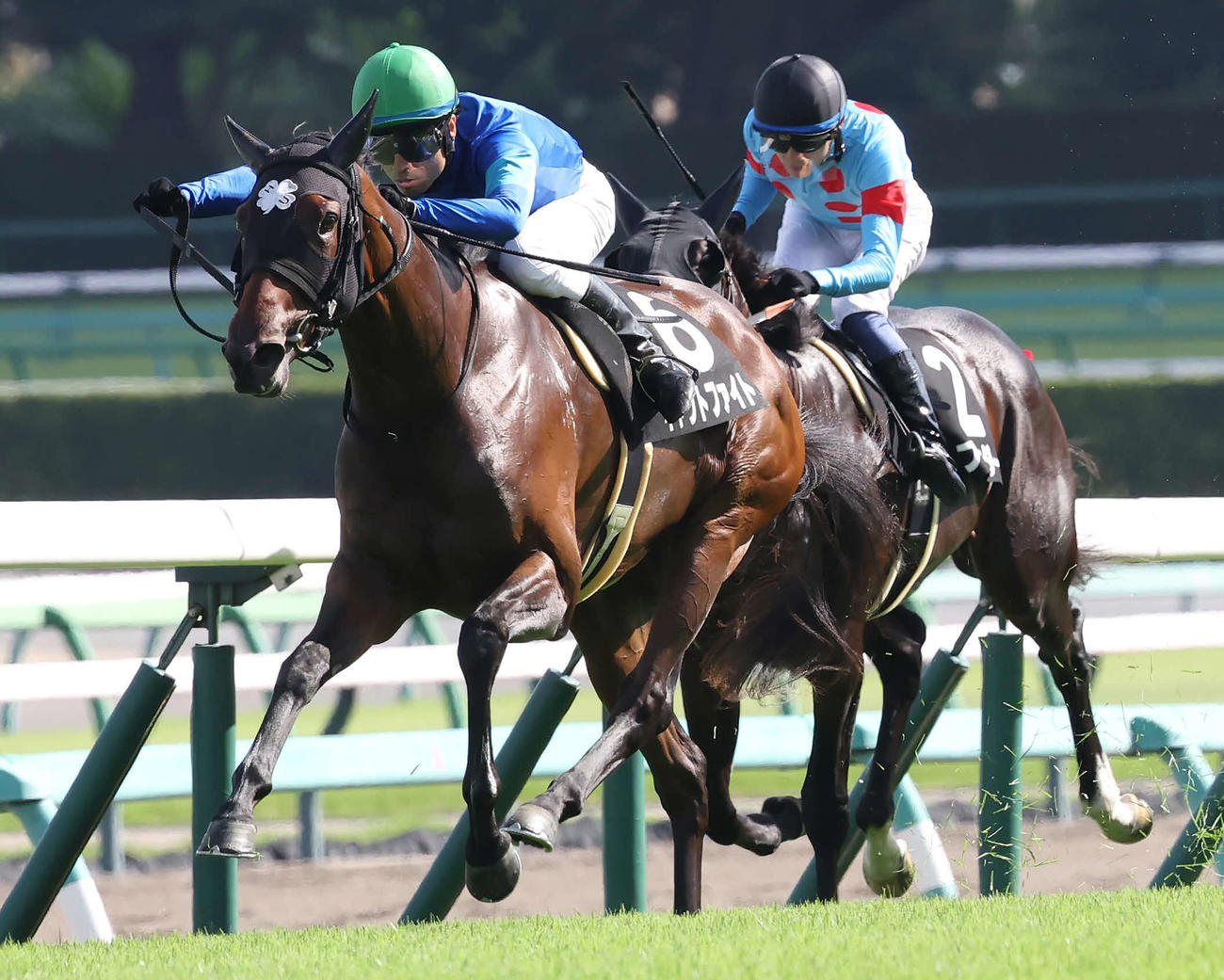 アスター賞を制したキャットファイトと大野騎手（手前）（23年9月9日撮影）