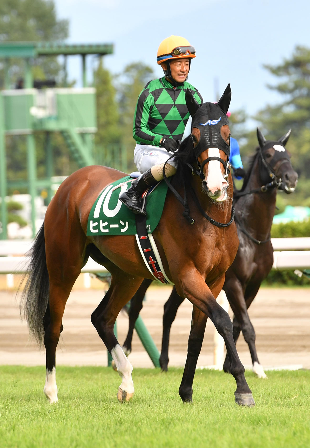 新潟2歳S、本馬場に入場したヒヒーン（2023年8月27日撮影）