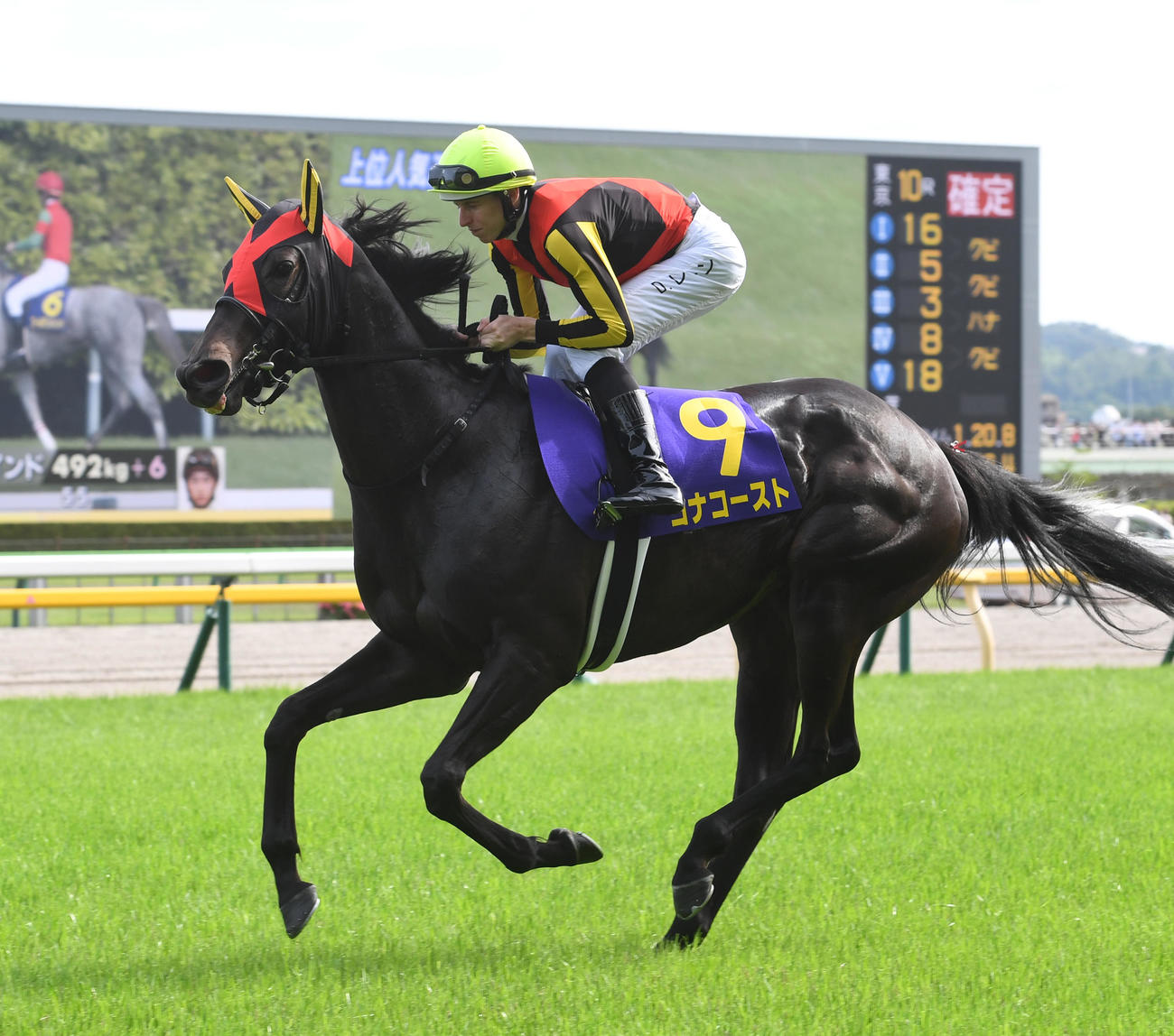 コナコースト（2023年5月21日撮影）