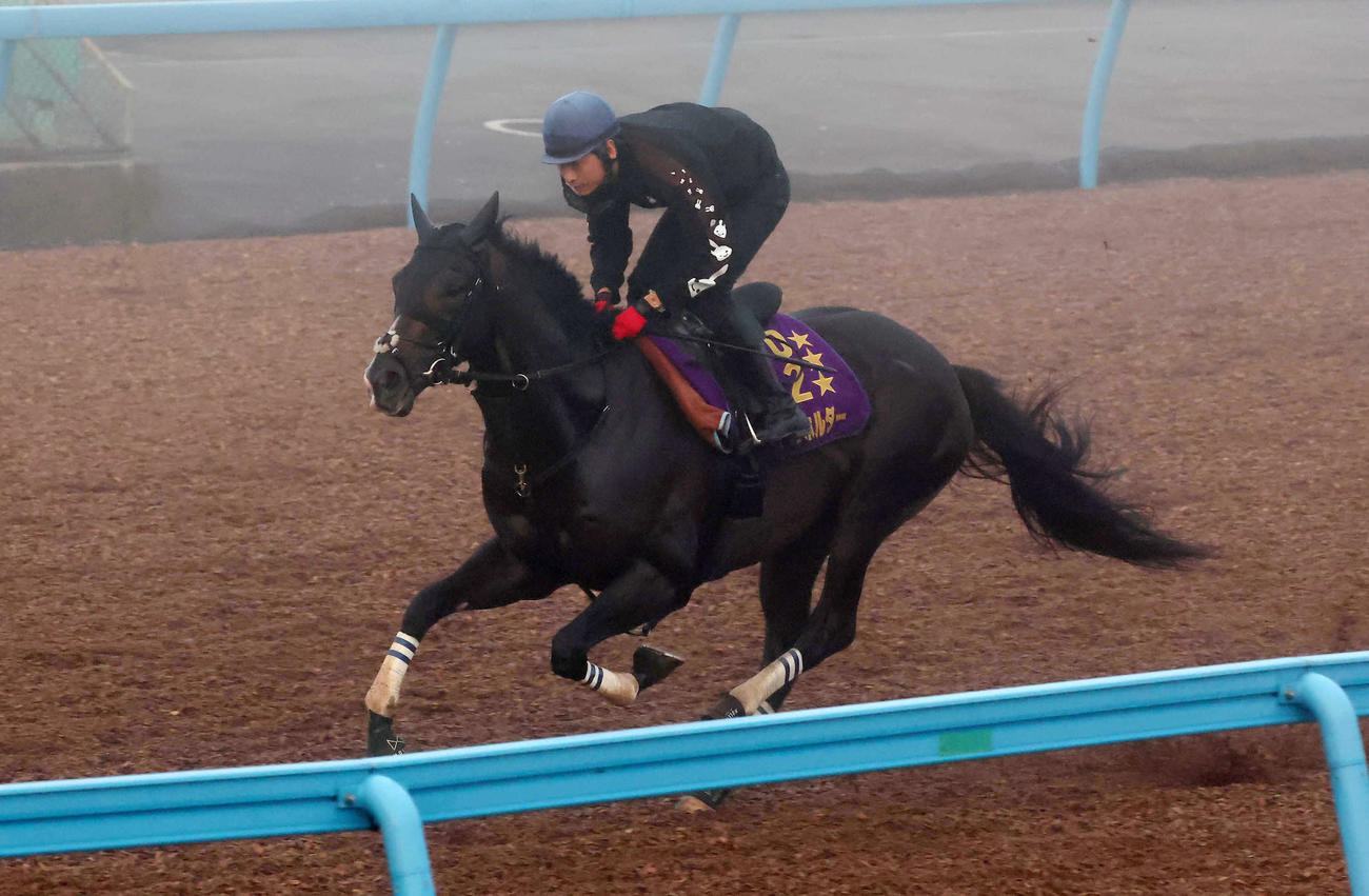 タイトルホルダーは朝一番、濃霧の中、美浦ウッドを単走で追い切られた（撮影・丹羽敏通）