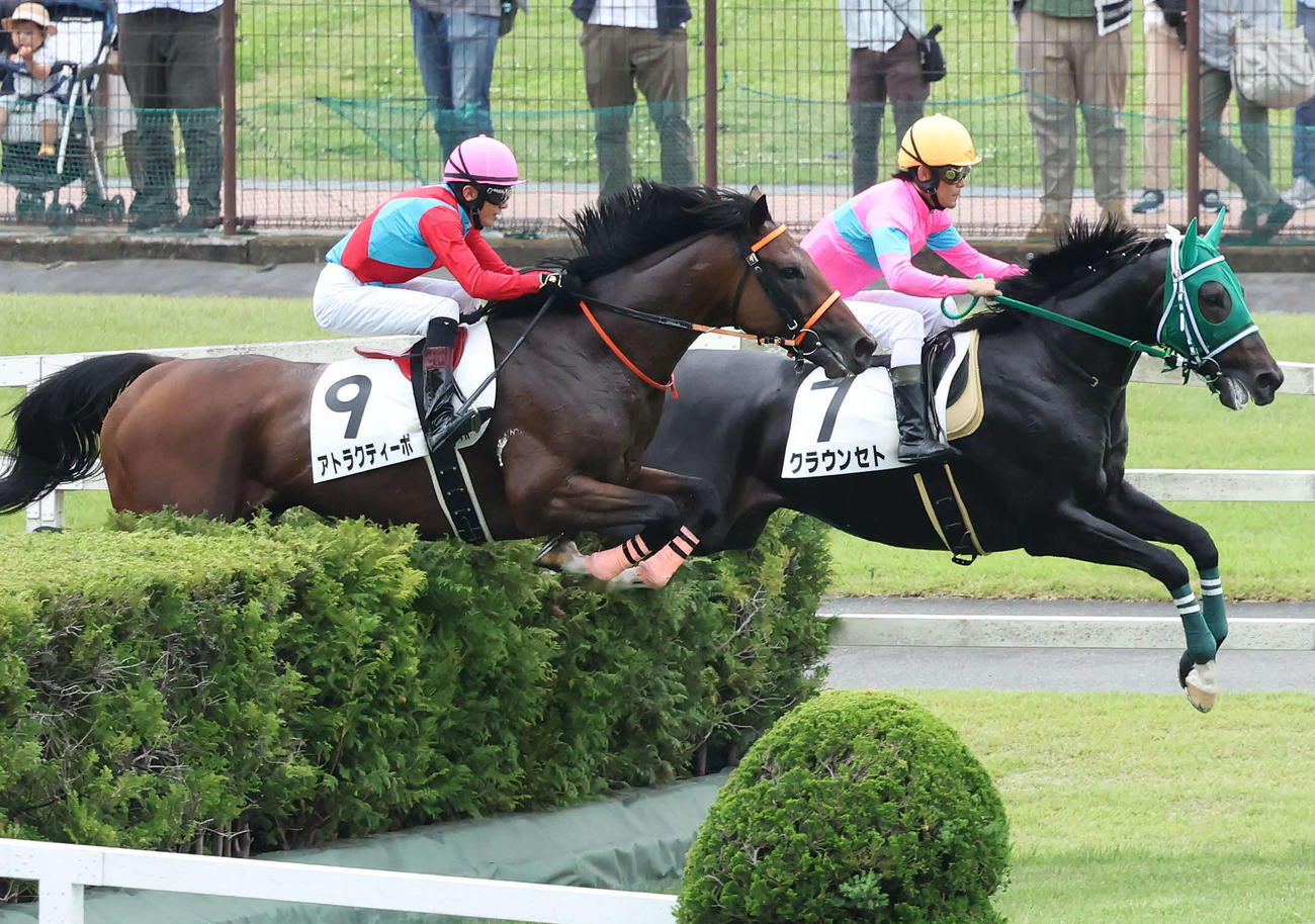 3歳上障害未勝利戦を制したアトラクティーボ（左）（2023年6月10日撮影）
