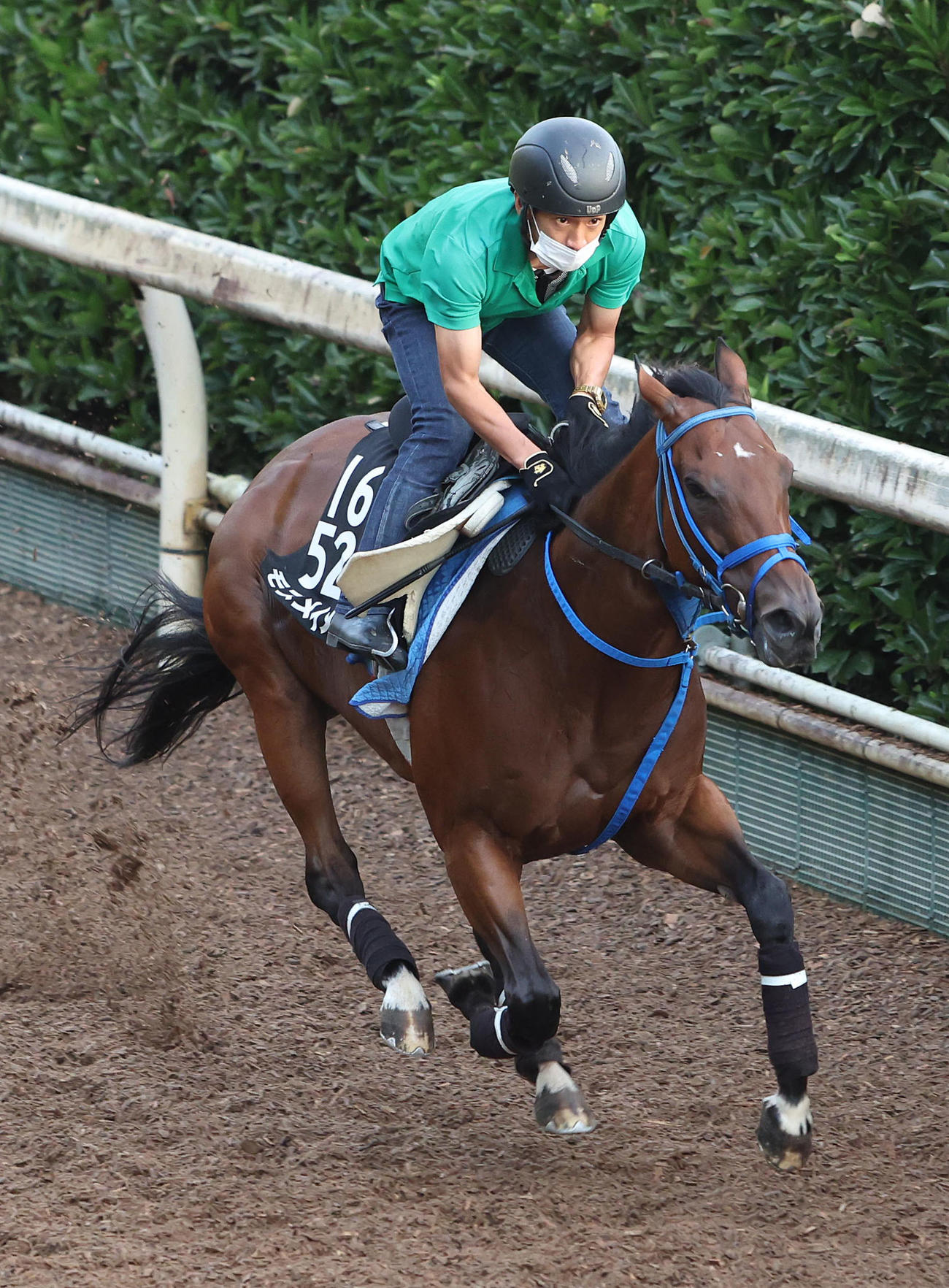 坂路を単走で追い切るモズメイメイ（撮影・白石智彦）