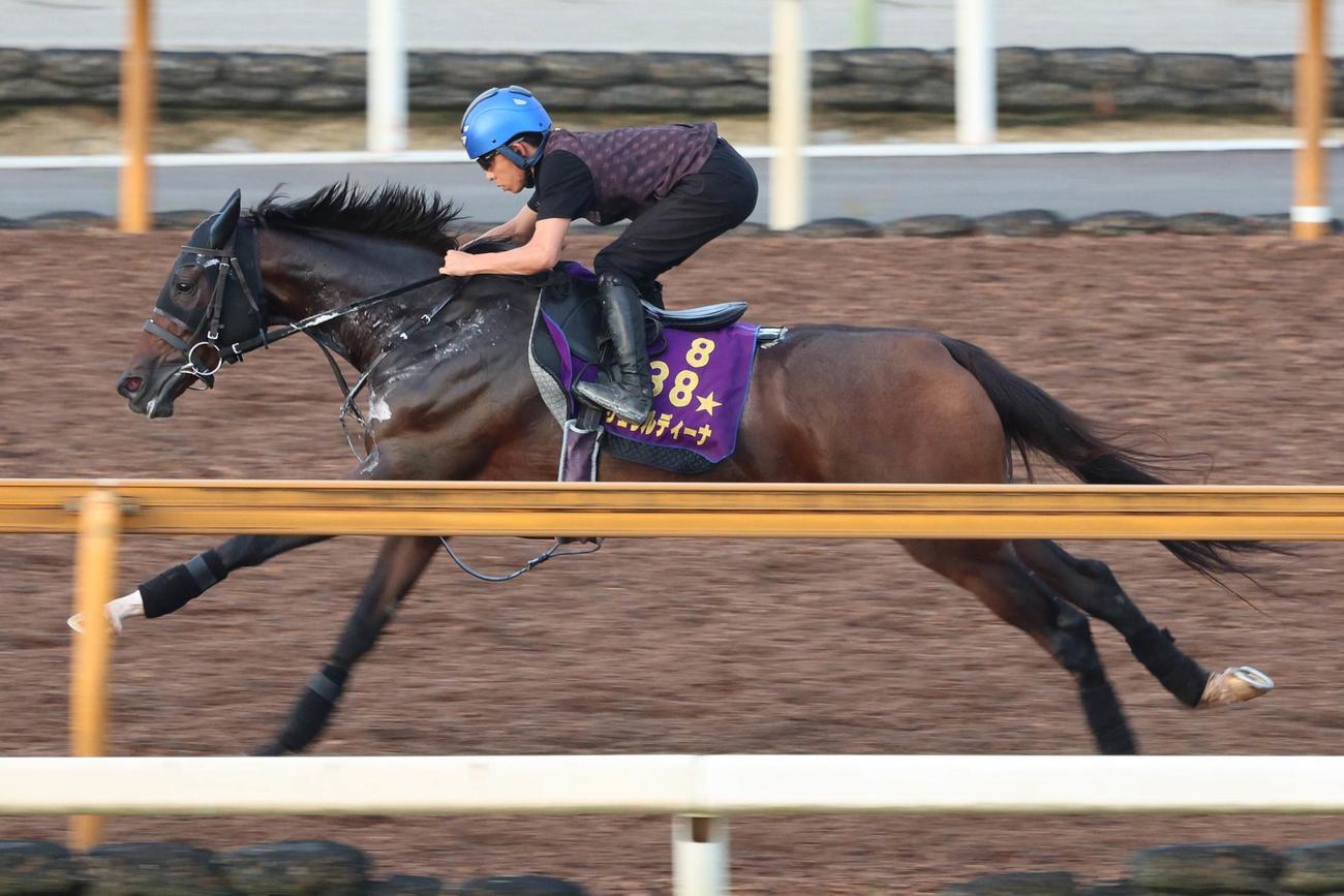 団野大成騎手が騎乗し、Cウッド単走で追われたジェラルディーナ