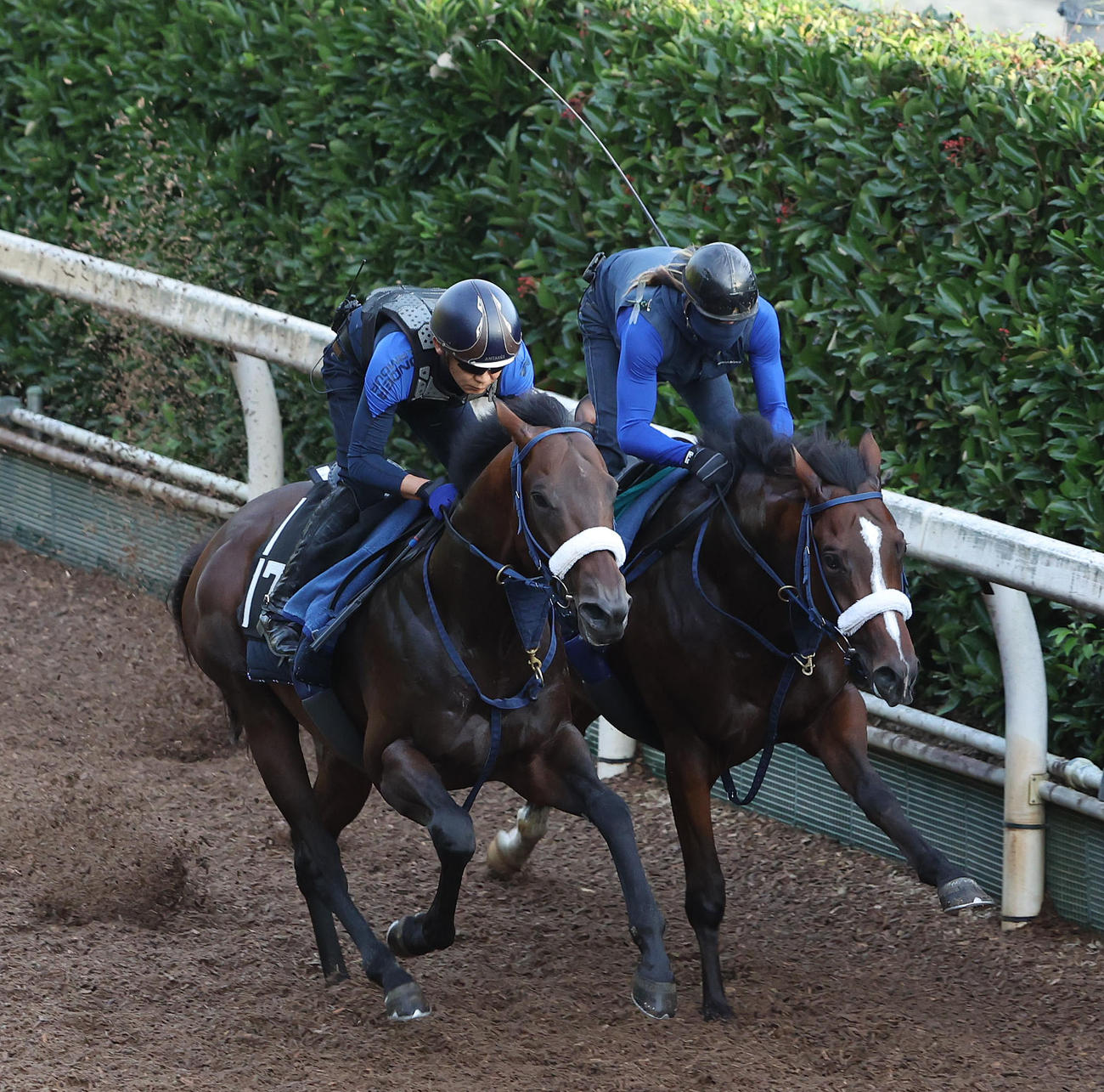 坂路をディスペランツァ（右）と併せ馬で追い切るウィズユアドリーム（撮影・白石智彦）