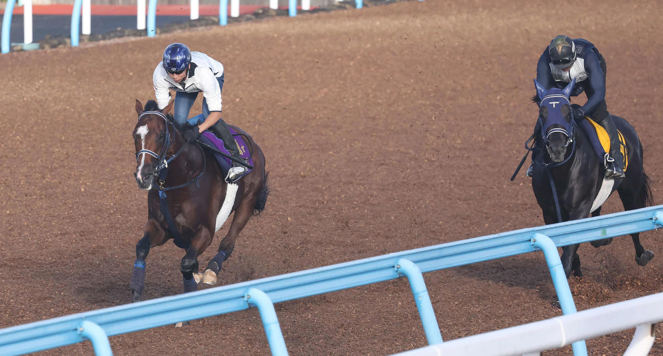 ソールオリエンス（左）は横山武騎手を背に美浦ウッドを併せ馬で追い切られた（撮影・丹羽敏通）