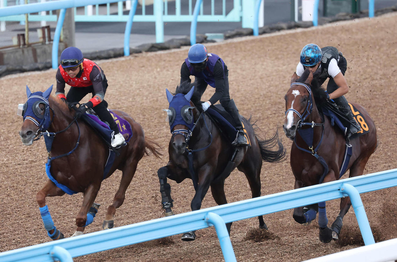 キングズレイン（中央）は嶋田騎手を背に美浦ウッドでG1馬ウインマリリン（左）などと併せて追い切られた（撮影・丹羽敏通）