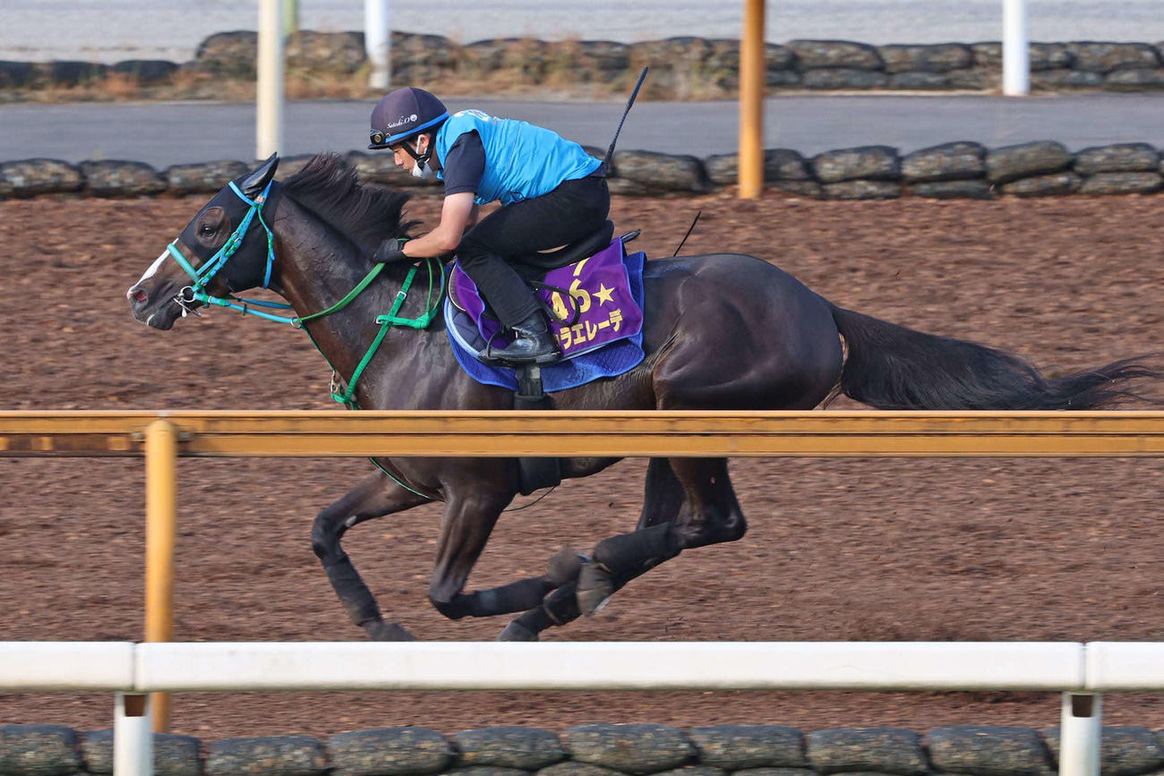 CWコース単走で速い時計を出したドゥラエレーデ
