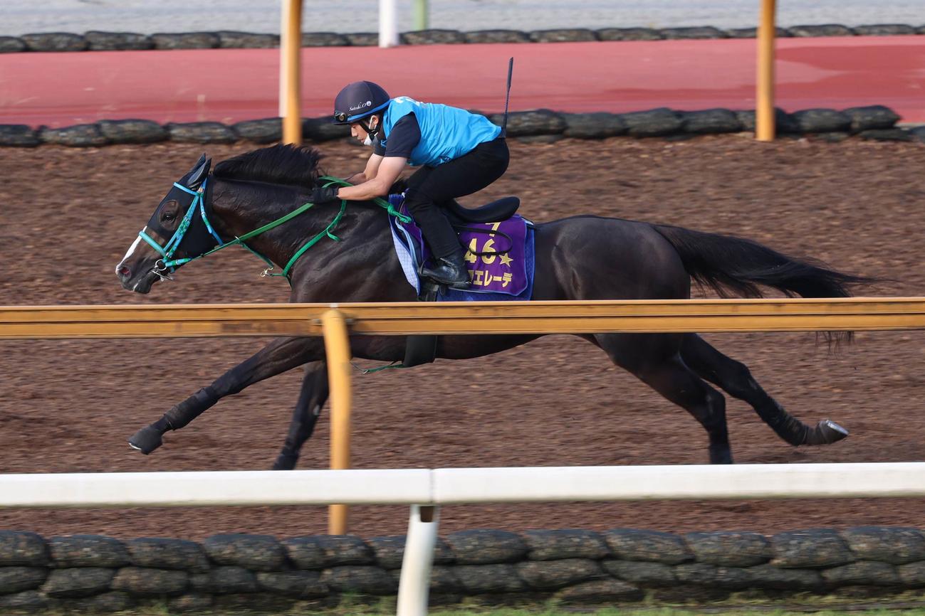 CWコース単走で速い時計を出したドゥラエレーデ