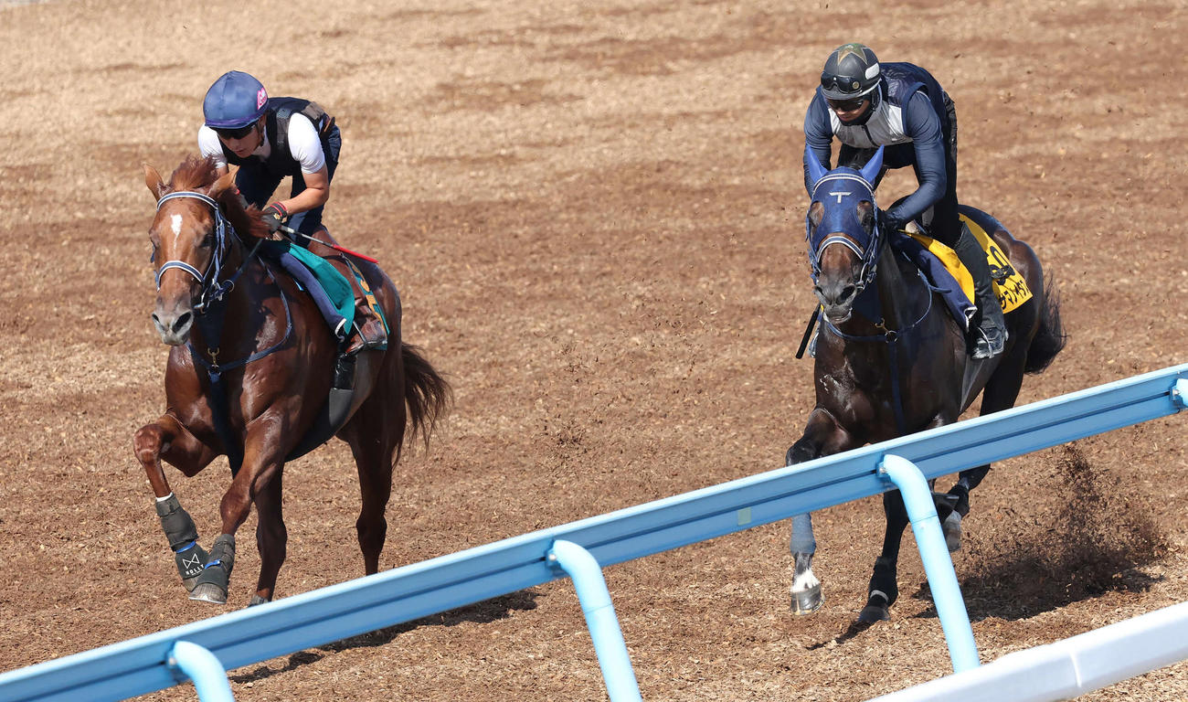 13日、ツルマウカタチ（左）は美浦ウッドでアサマノイタズラと併せて追い切られた