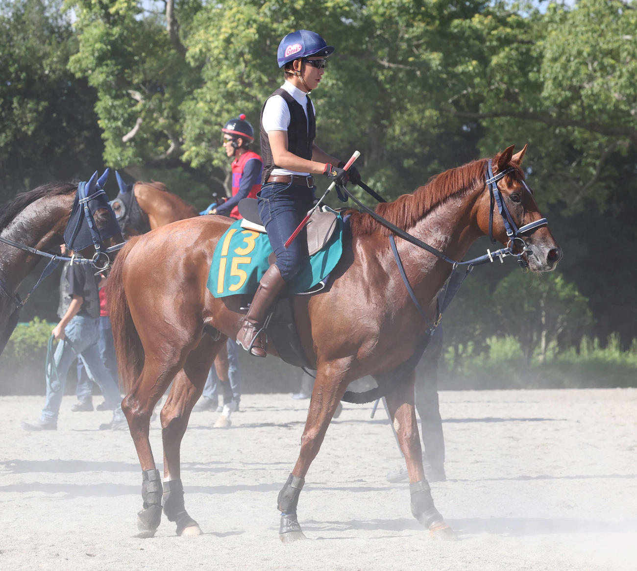 13日、調教を終えて馬場を出るツルマウカタチ