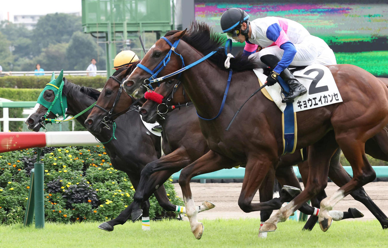 中山3R、2歳未勝利戦を制したキョウエイカンセと永野騎手（手前）（撮影・丹羽敏通）