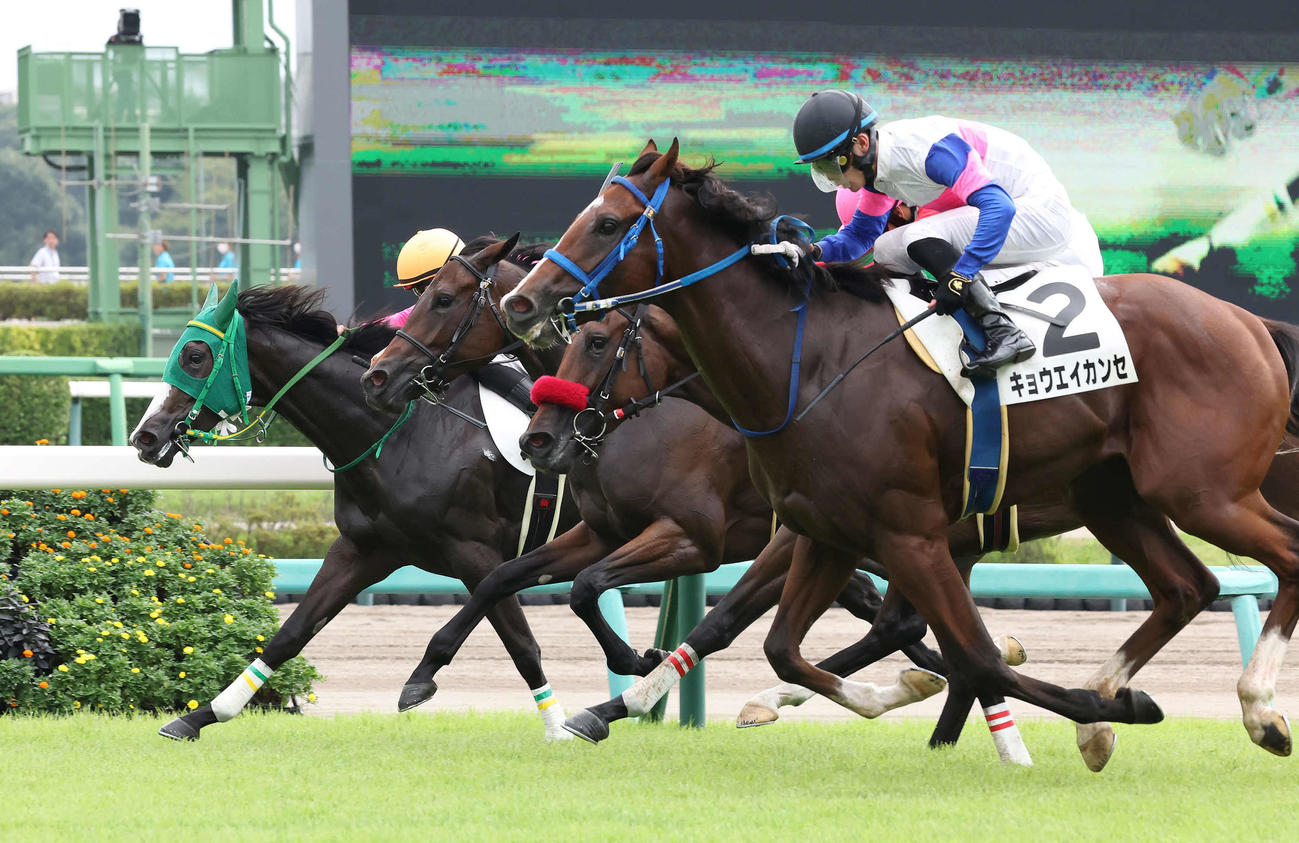 中山3R、2歳未勝利戦を制したキョウエイカンセと永野騎手（手前）（撮影・丹羽敏通）