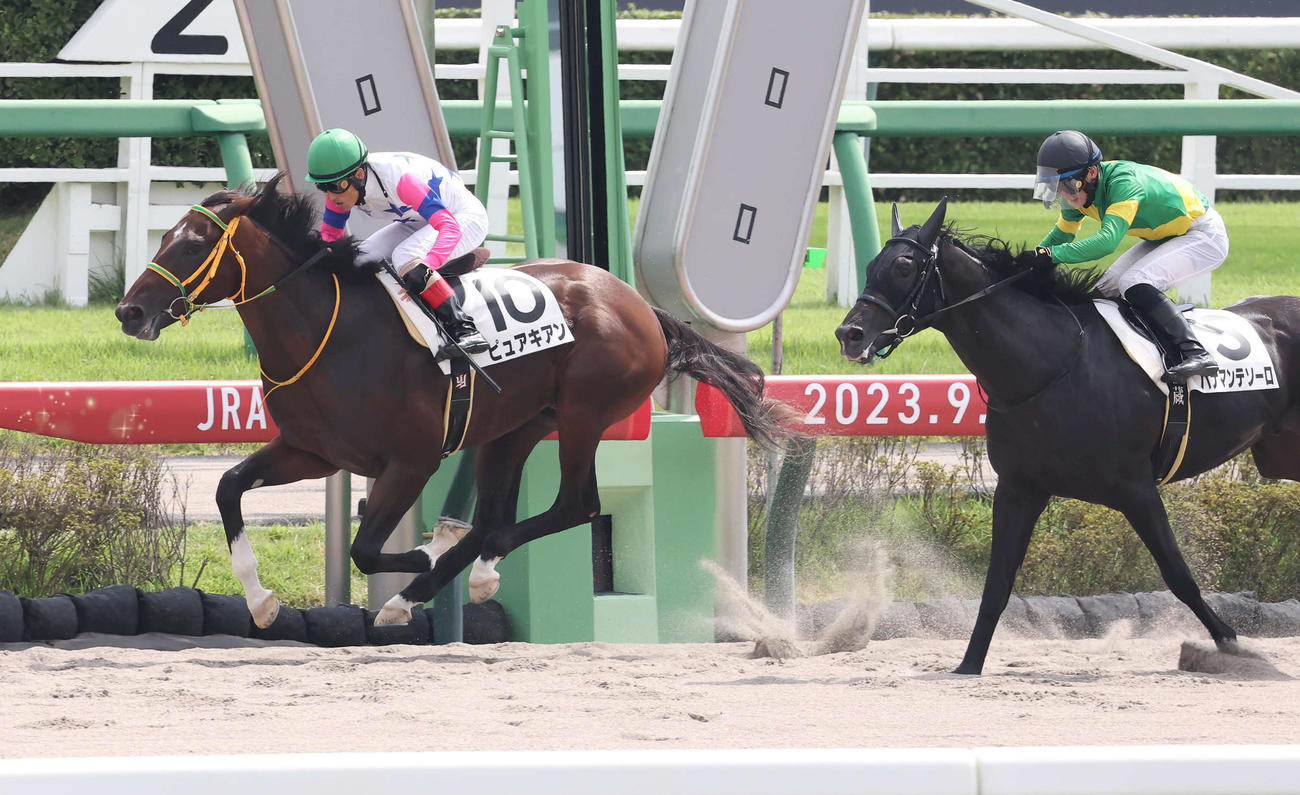 中山4R、2歳新馬戦を制したピュアキアンと吉田豊騎手（左）（撮影・丹羽敏通）