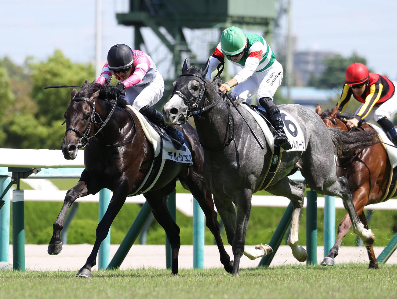 阪神5R、バレルターン（右）との接戦を制して新馬勝ちを収めたデルシエロ（撮影・白石智彦）