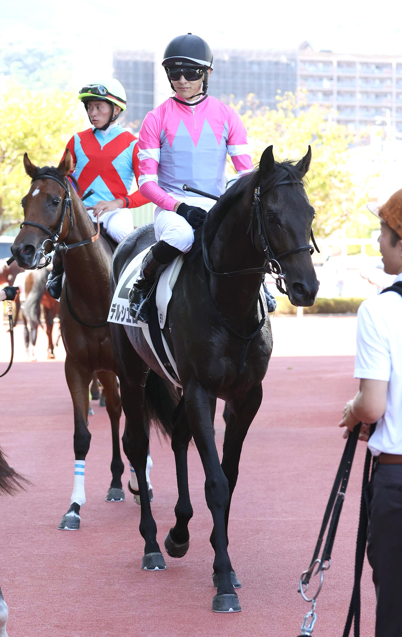 阪神5R、新馬戦を勝利したデルシエロ（撮影・白石智彦）