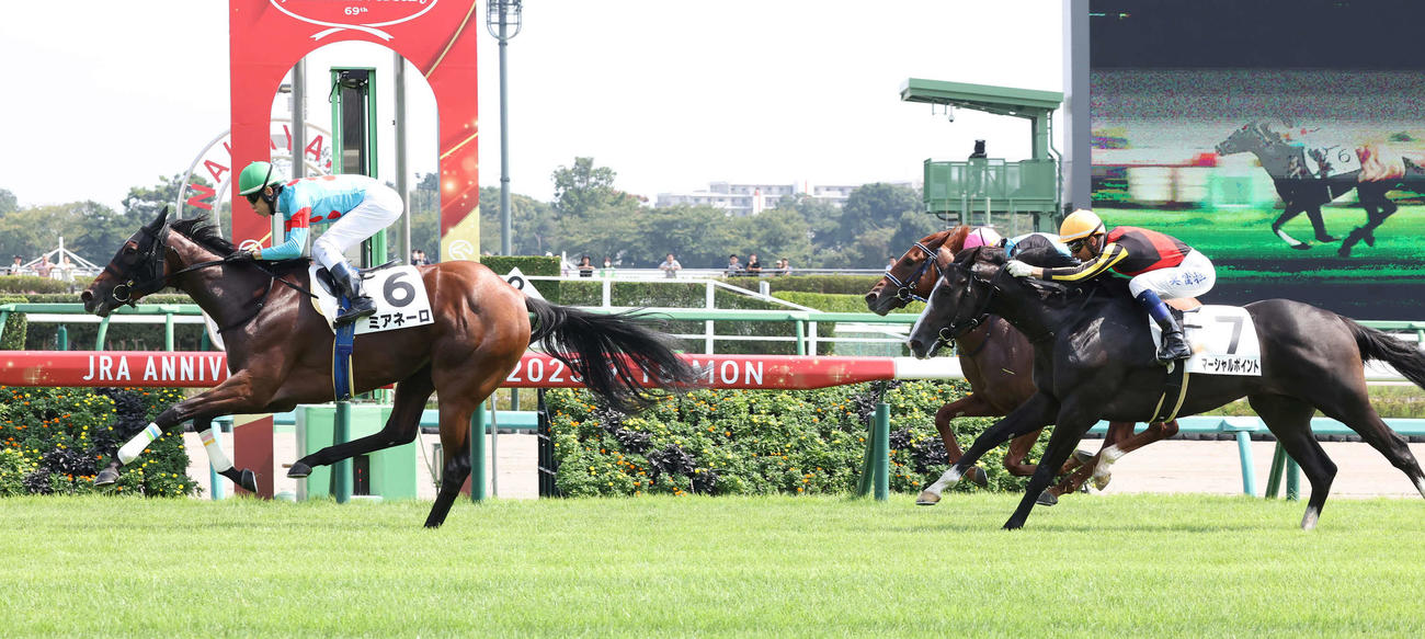 中山5R新馬戦を制したミアネーロと津村騎手（左）（撮影・丹羽敏通）