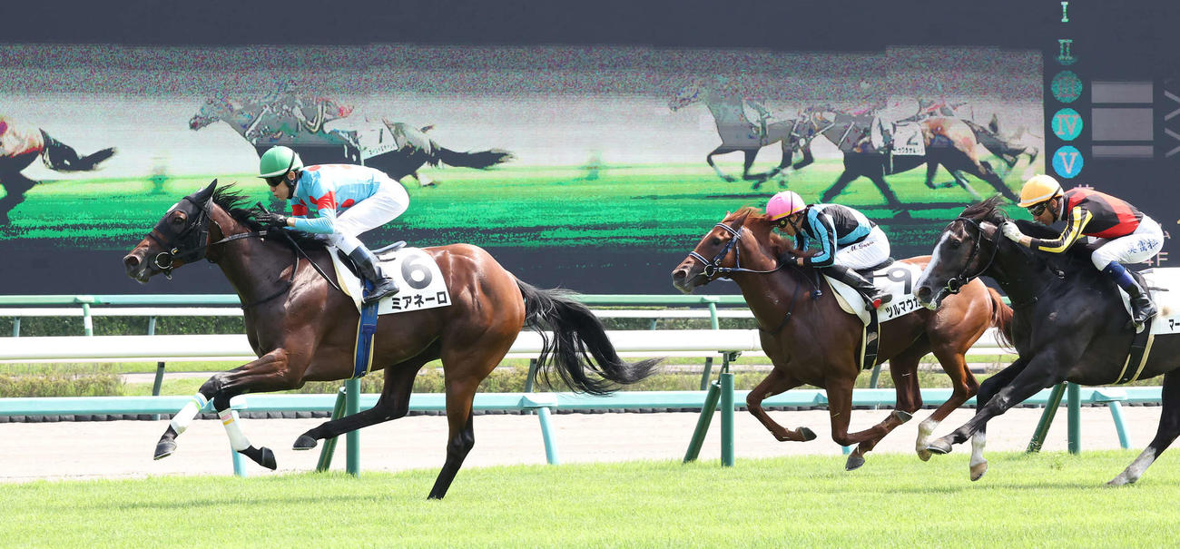 中山5R新馬戦を制したミアネーロと津村騎手（左）（撮影・丹羽敏通）
