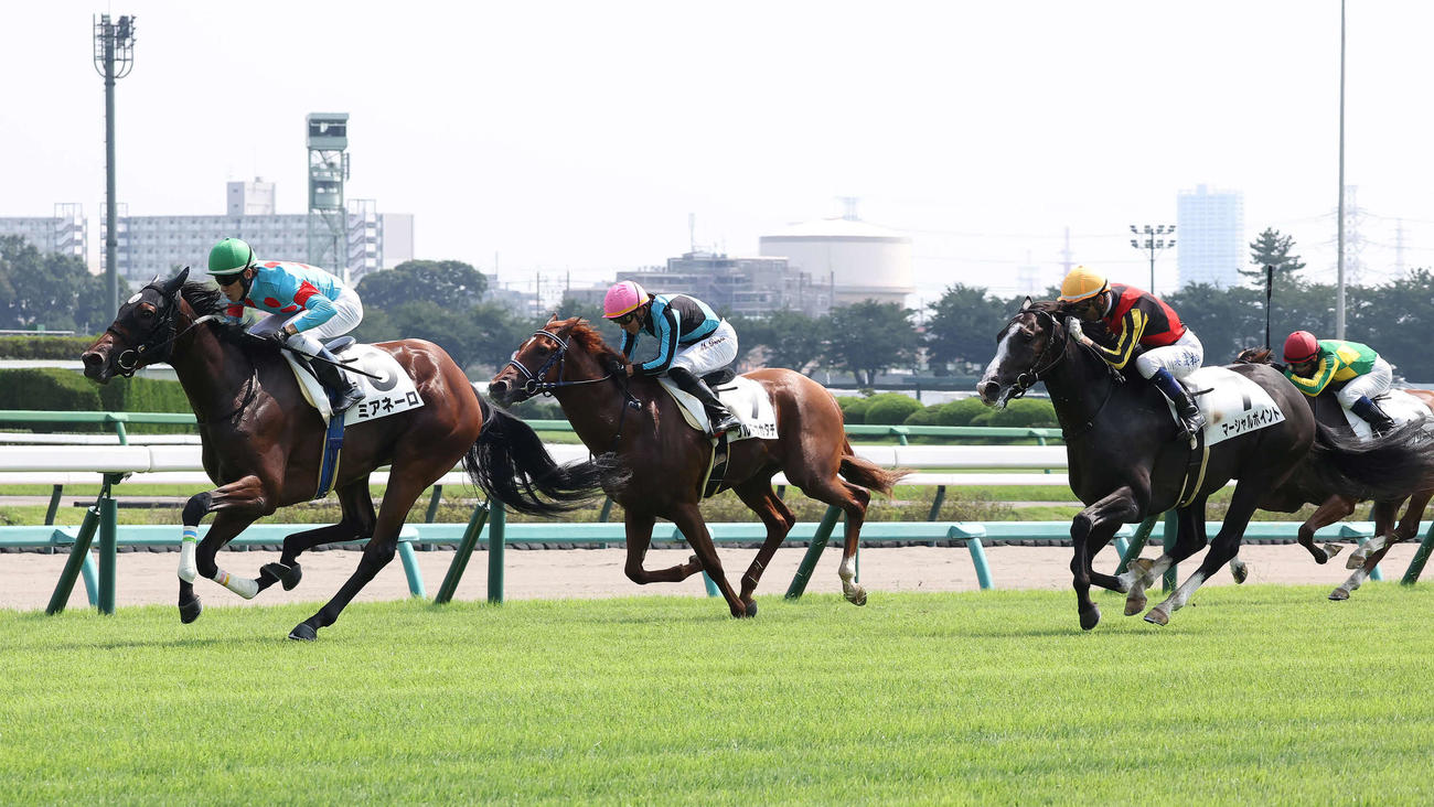 中山5R新馬戦を制したミアネーロと津村騎手（左）（撮影・丹羽敏通）