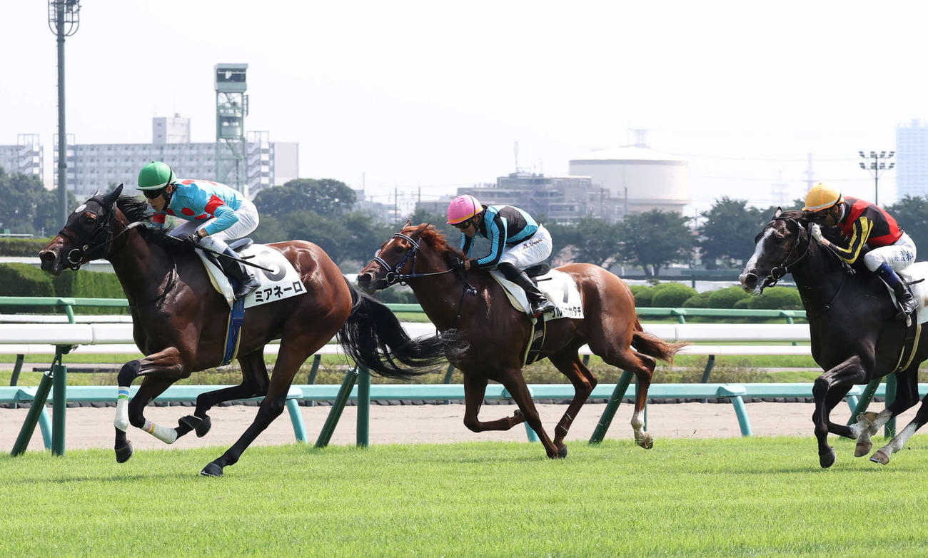 中山5R、2歳新馬戦を制したミアネーロと津村騎手（左）（撮影・丹羽敏通）
