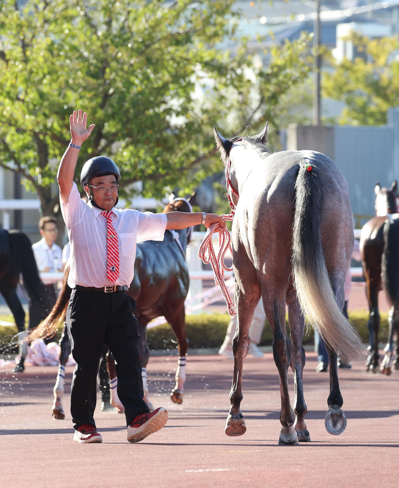 定年退職前の最後のレースを2着で終えファンの声援に手を振る池田厩務員（撮影・白石智彦）