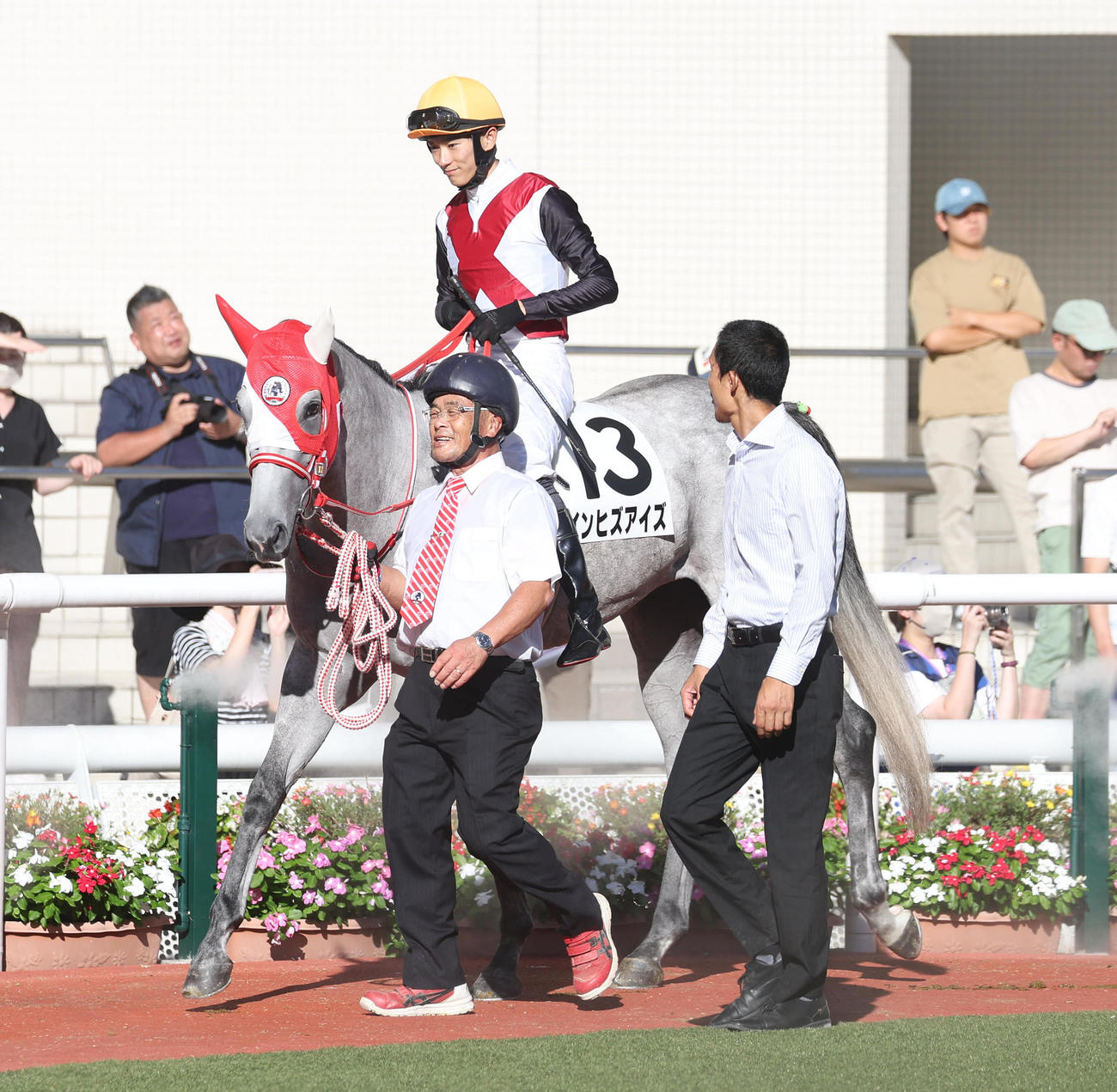 阪神12R、パドックでインヒズアイズを引く矢作厩舎の池田厩務員（撮影・白石智彦）