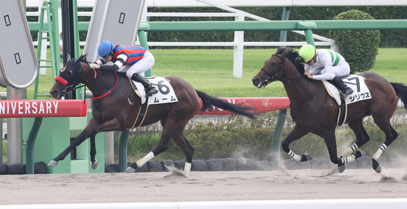 中山1R、2歳未勝利戦を逃げ切ったムームと藤田騎手（撮影・丹羽敏通）