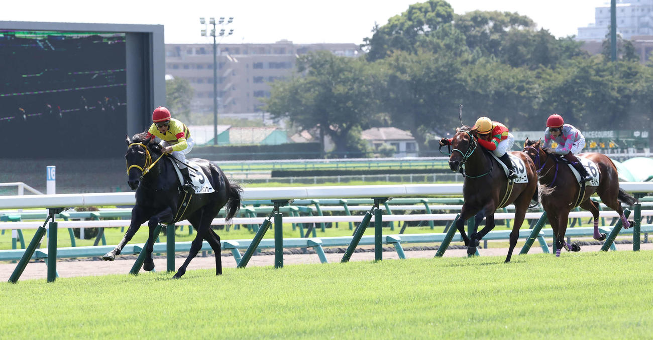 中山4R新馬戦を制したマリンバンカーと岩部騎手（左）（撮影・丹羽敏通）